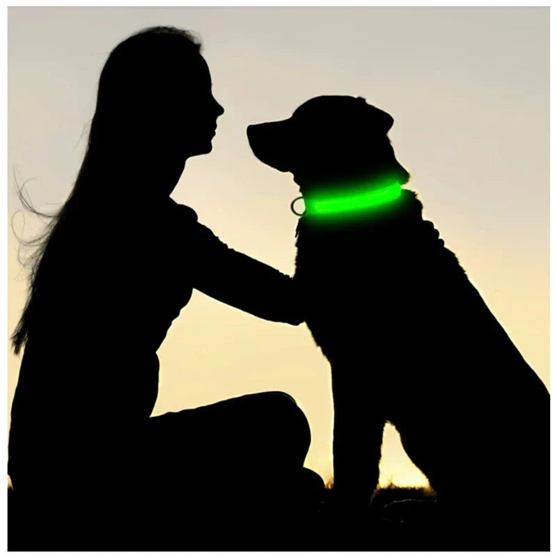 LED USB Rechargeable Dog & Cat Collar – 3 Light Modes, Night Safety