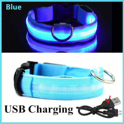 LED Dog Collar USB Rechargeable Glowing Safety Collar