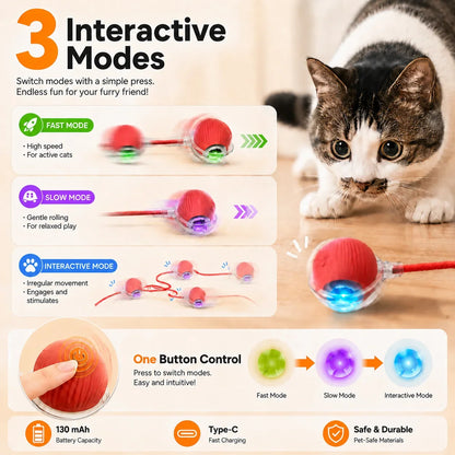 Cat Interactive Ball Toy – Auto-Rolling Rechargeable Smart Ball with Tail
