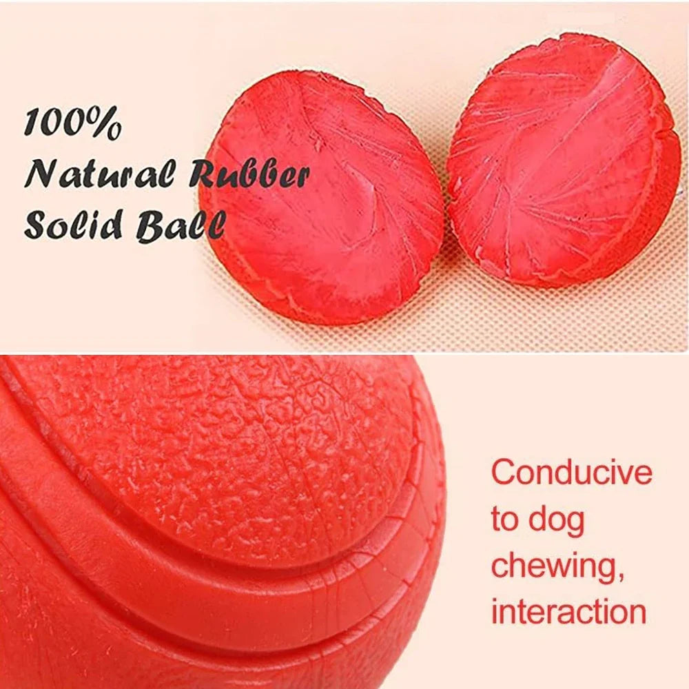Rubber Dog Ball Bite-Resistant Fetch & Training Toy