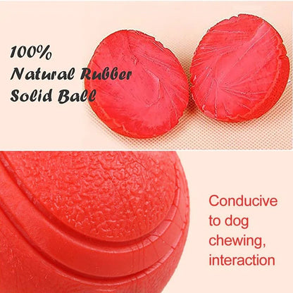 Rubber Dog Ball Bite-Resistant Fetch & Training Toy