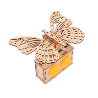 butterfly