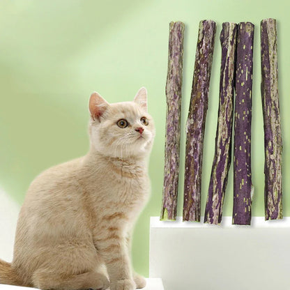 Cat Catnip Matatabi Chew Sticks – Natural Molar Dental Treat