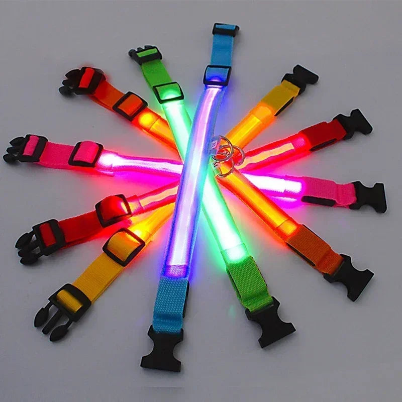 LED Dog Collar – USB Rechargeable Flashing Safety Light