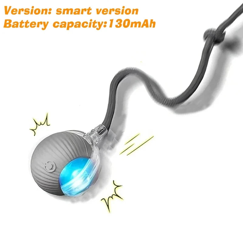 Interactive Rolling Ball Toy for Dogs & Cats – Rechargeable with Sound
