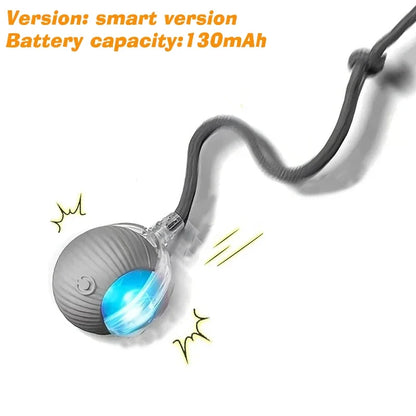 Interactive Rolling Ball Toy for Dogs & Cats – Rechargeable with Sound