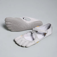Ds01 Gray