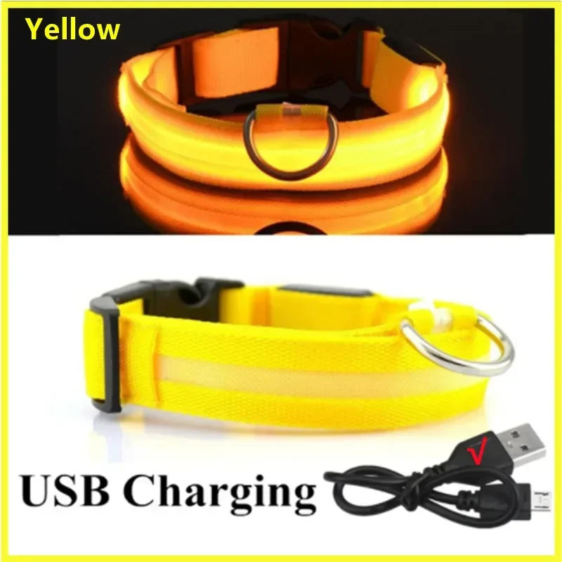 LED USB Rechargeable Dog & Cat Collar – 3 Light Modes, Night Safety