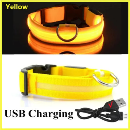 LED USB Rechargeable Dog & Cat Collar – 3 Light Modes, Night Safety