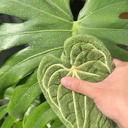 Leaf-Shaped Hand Towel – Absorbent Quick-Dry with Hanging Loop