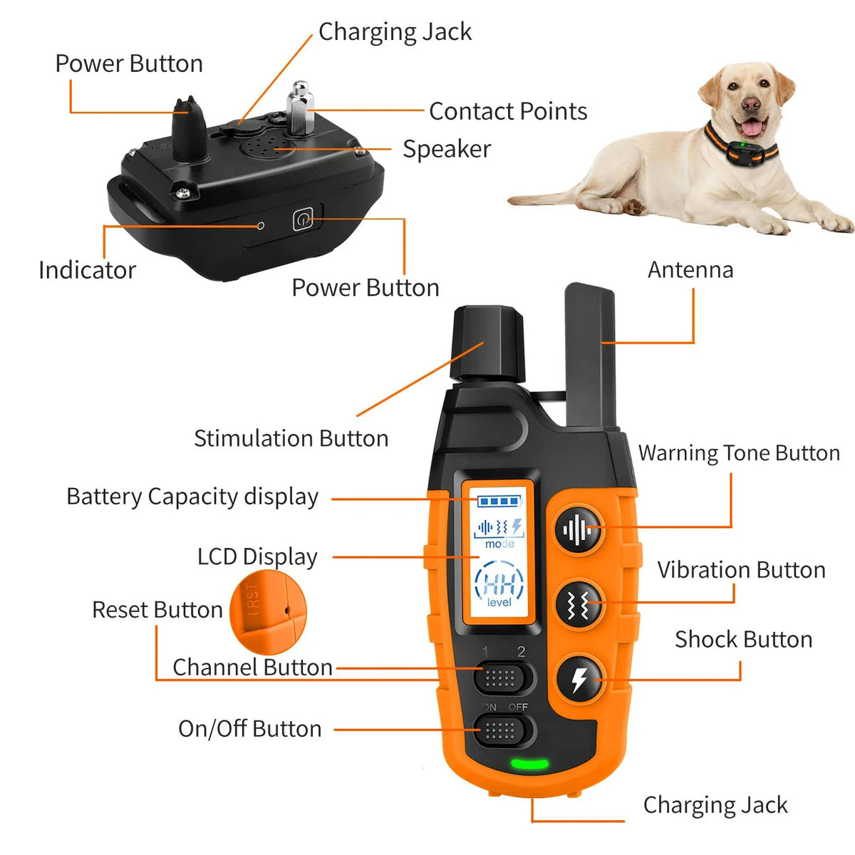 Dog Training Collar with Remote – 3300ft Waterproof E-Collar
