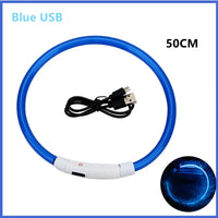 Blue USB 19.7in