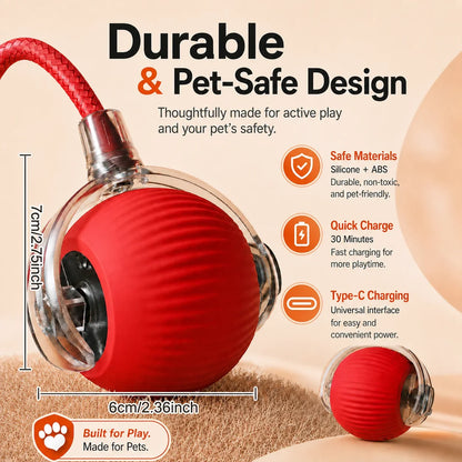 Interactive Rolling Ball Toy for Dogs & Cats – Rechargeable with Sound