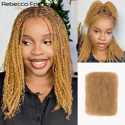 Afro Kinky Curly Bulk Human Hair for Braiding No Weft Remy
