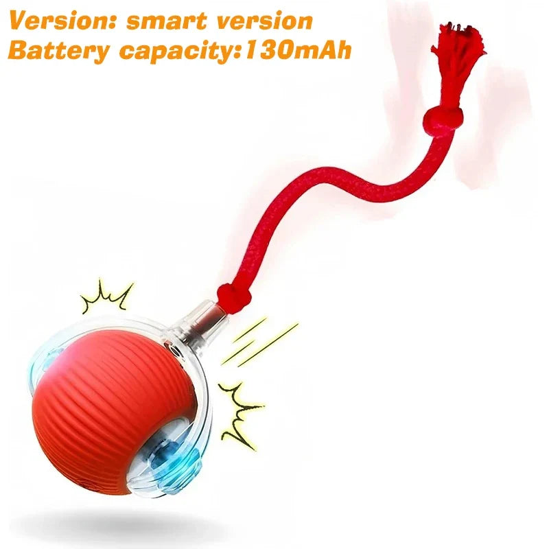 Interactive Rolling Ball Toy for Dogs & Cats – Rechargeable with Sound