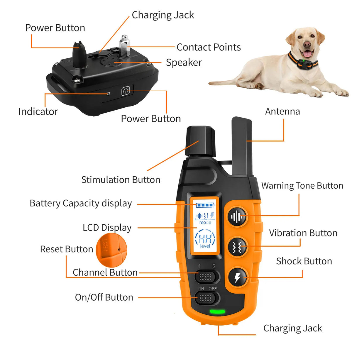 Dog Training Collar with Remote – 3300ft Range, Waterproof, 99 Levels for 5–120 lbs Dogs