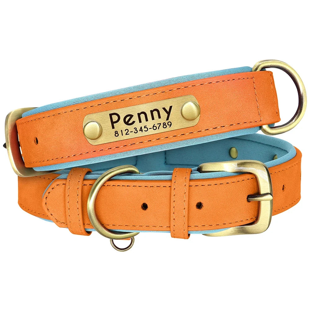 Personalized Leather Dog Collar with Engraved Nameplate