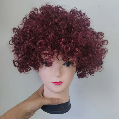 Colorful Afro Curly Cosplay Wig – Short Synthetic Party Wig