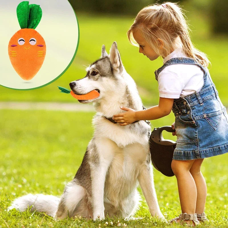 Squeaky Carrot Plush Dog Toy for Small & Medium Dogs