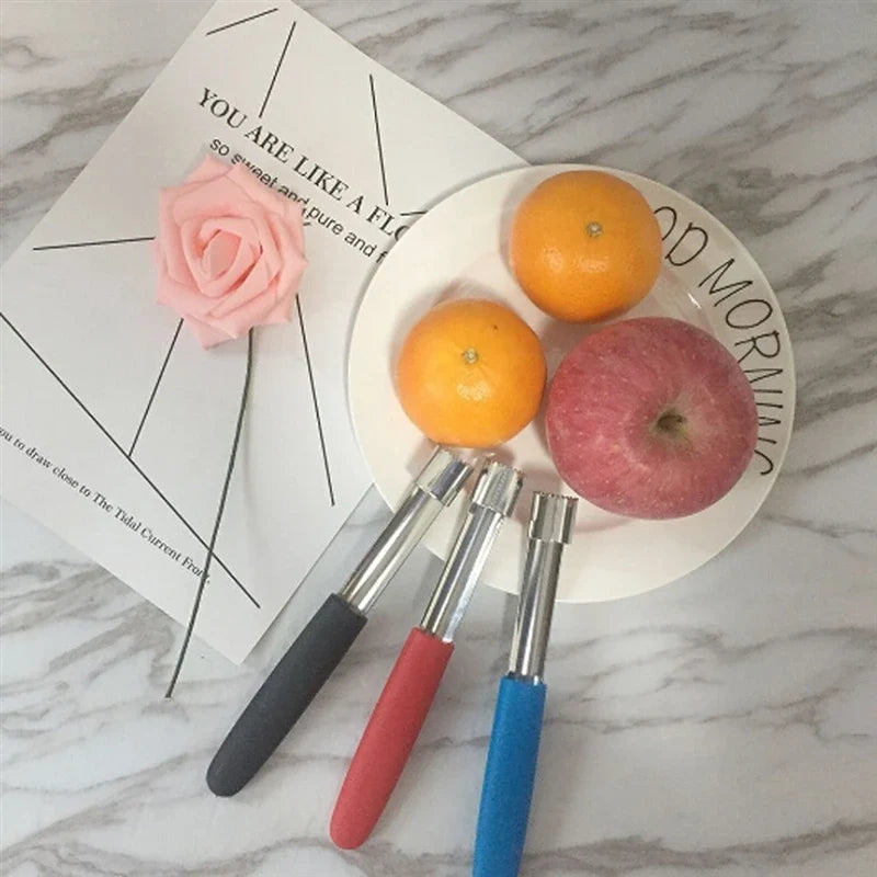 Apple Corer & Fruit Pit Remover – Stainless Steel Twist Corer