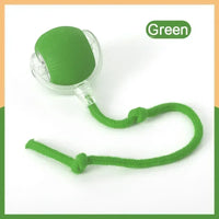 Style2 Green