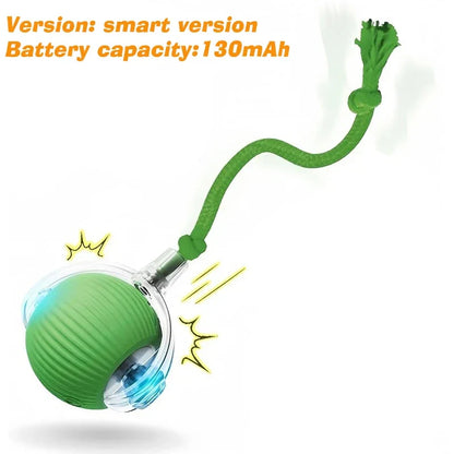 Cat Interactive Ball Toy – Auto-Rolling Rechargeable Smart Ball with Tail