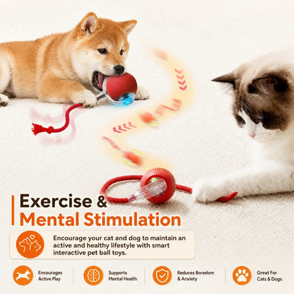 Interactive Rolling Ball Toy for Dogs & Cats – Rechargeable with Sound